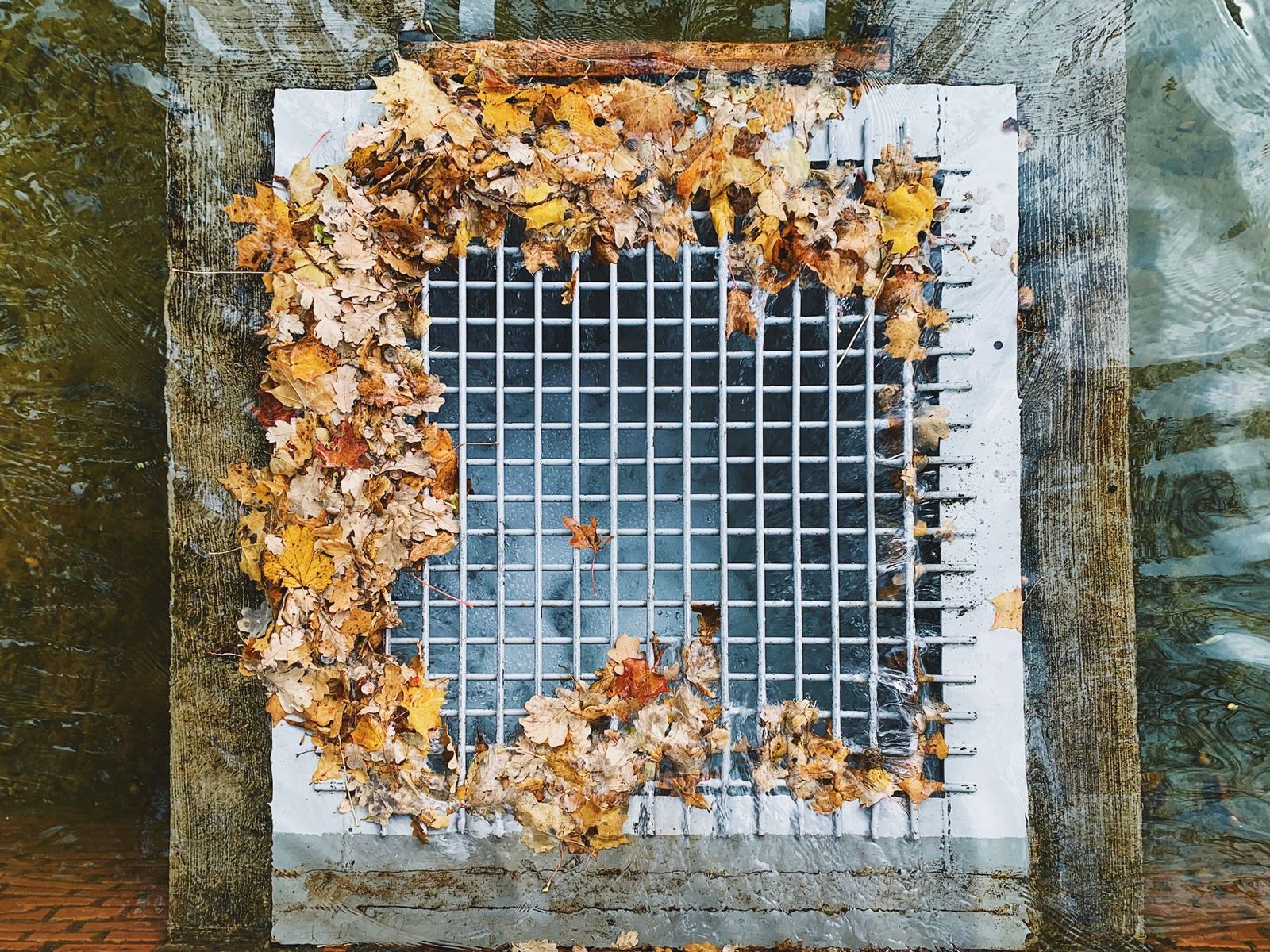 Herbstlaub liegt auf einem Metallgitter im Wasser, von oben